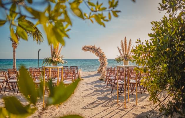 Small outdoor wedding ceremony with trees, empty white chairs, and flowers